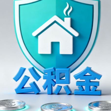 海口公积金代办行业观察：谁在提供专业服务？