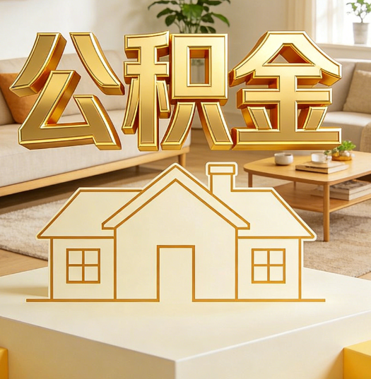 海口活就业人员涌入公积金体系，代办服务迎来“新蓝海”